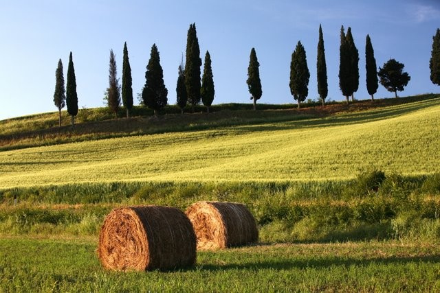 Foto 1 - Toscana e o Vale do Chianti em 1 dia